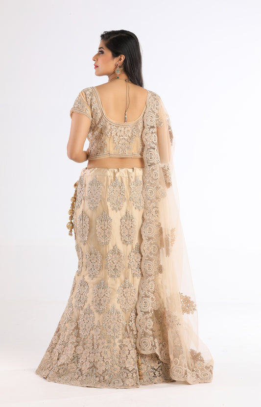 Aahna Chocolate Dusted Evening Dress