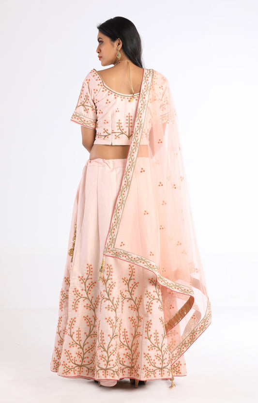 Jina Blush Pink Lehenga