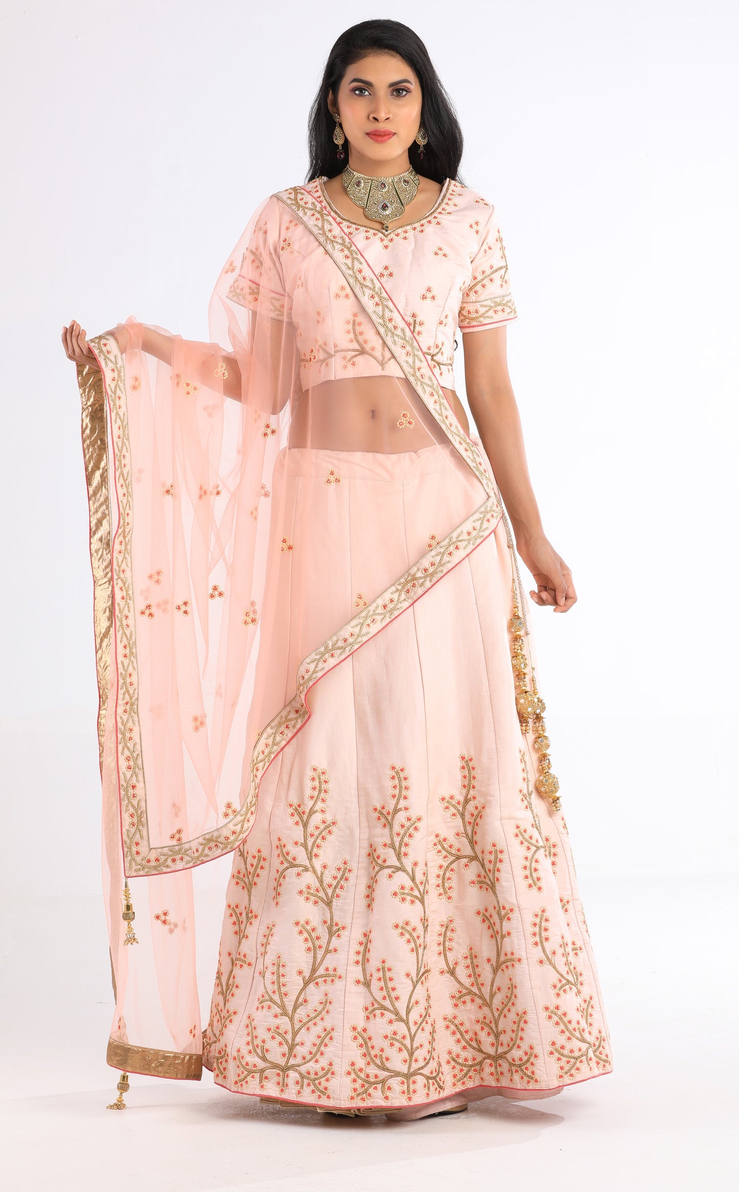 Jina Blush Pink Lehenga