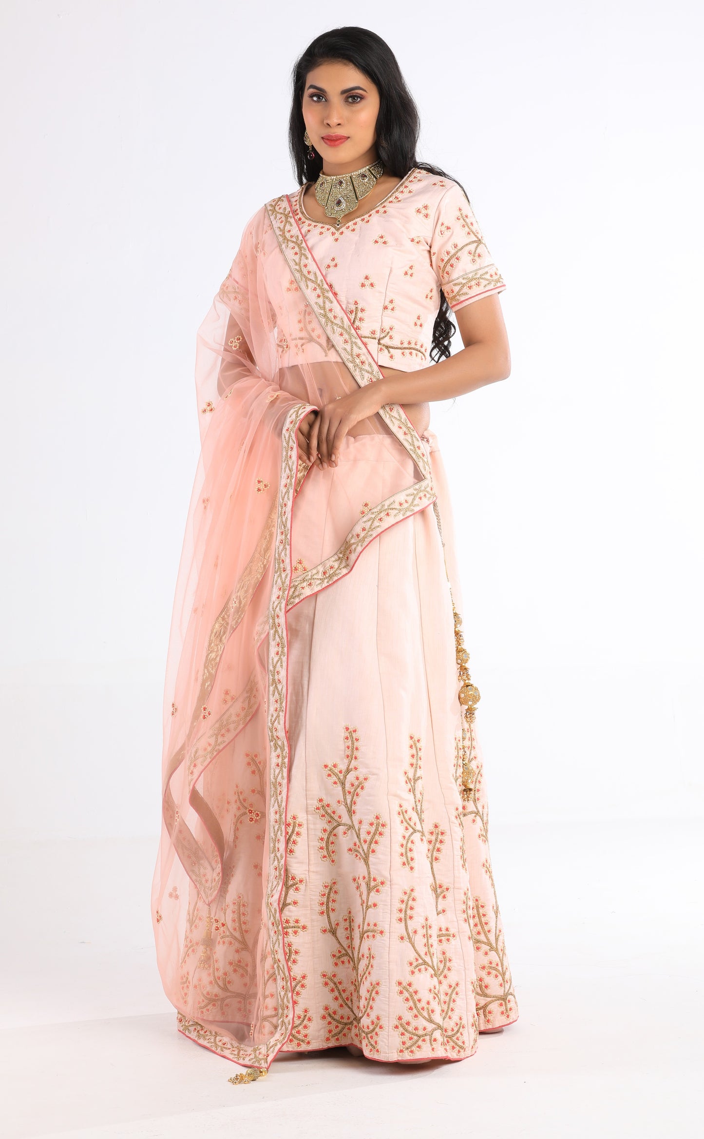 Jina Blush Pink Lehenga