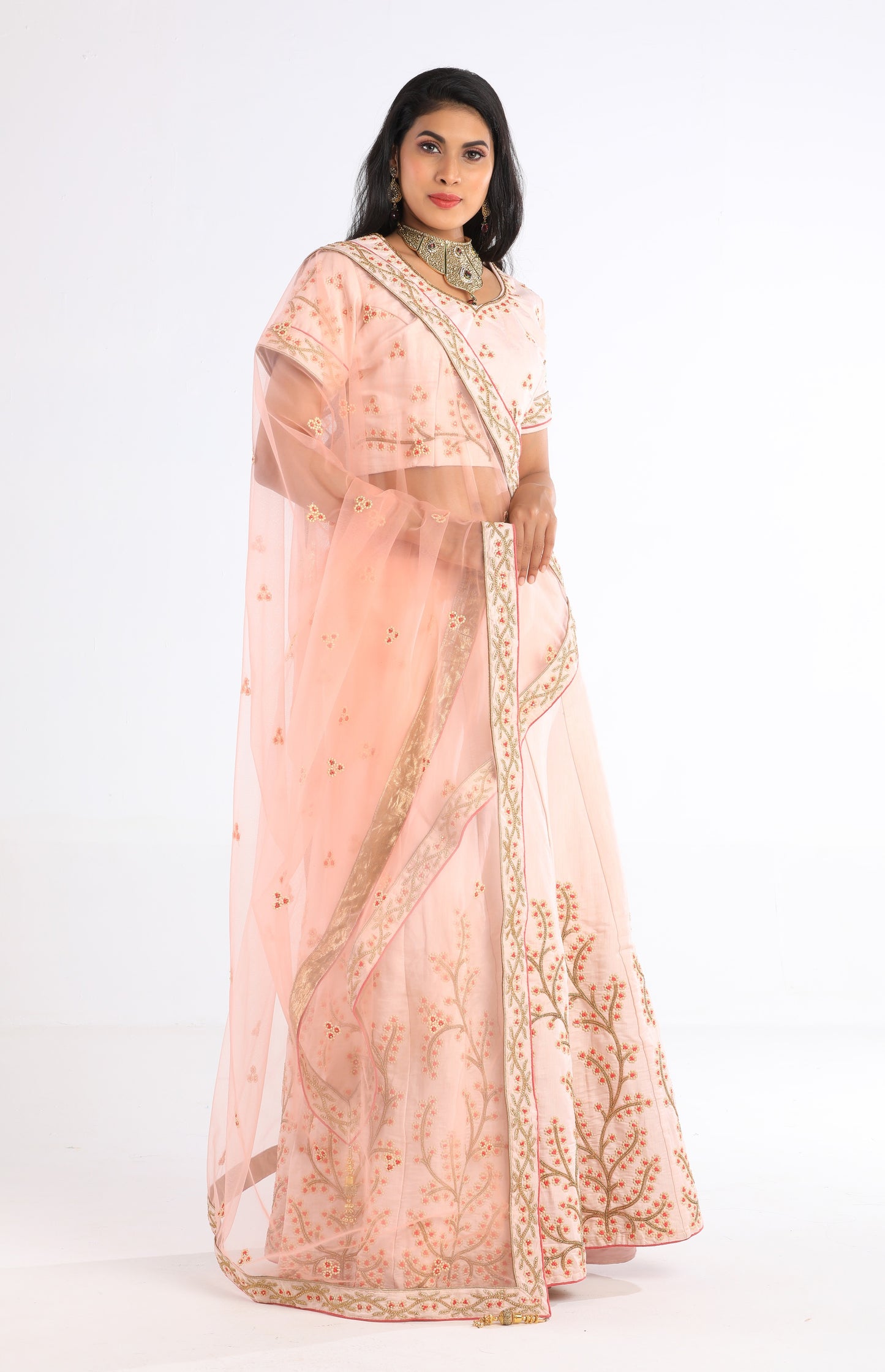 Jina Blush Pink Lehenga