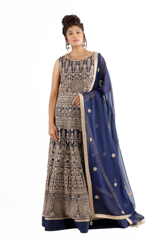 Adithi Navy and Gold Embroidered Dress