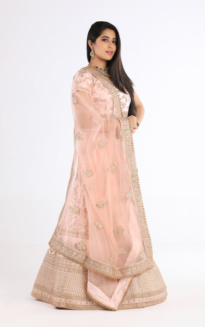 Sheena Rose Lehenga